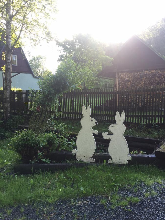 Chata Pod Lesem Rýmařov Bagian luar foto